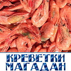 Магаданские углохвостые креветки (140/200 шт. в 1 кг.)